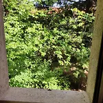 Apartment Jankovich Castle