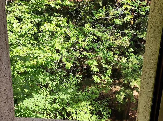 Apartmán Jankovich Castle