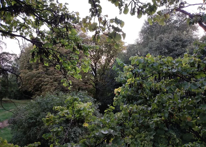 Jankovich Castle Apartmán *