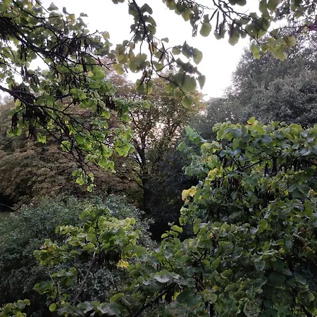 Jankovich Castle Appartement *