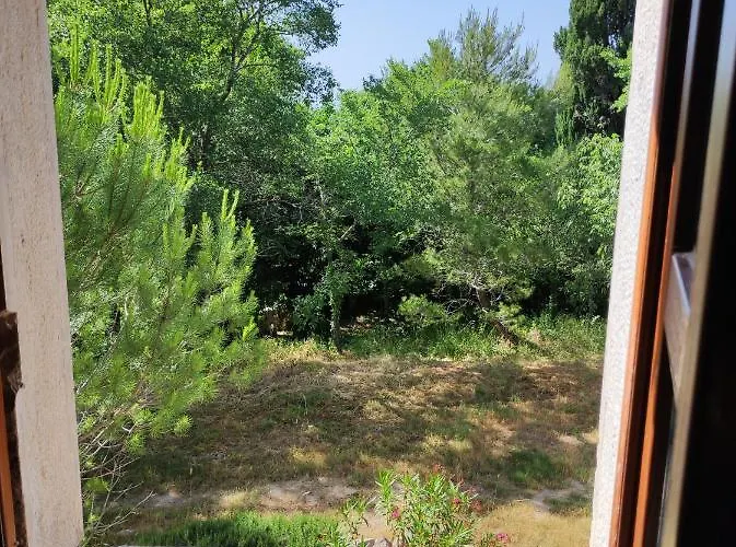 Апартаменты Jankovich Castle *